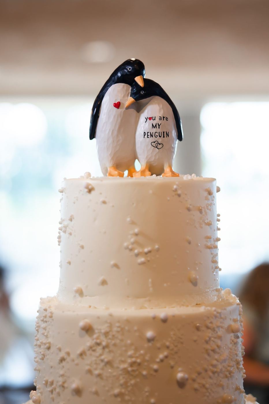 Penguin cake topper that reads you are my penguin